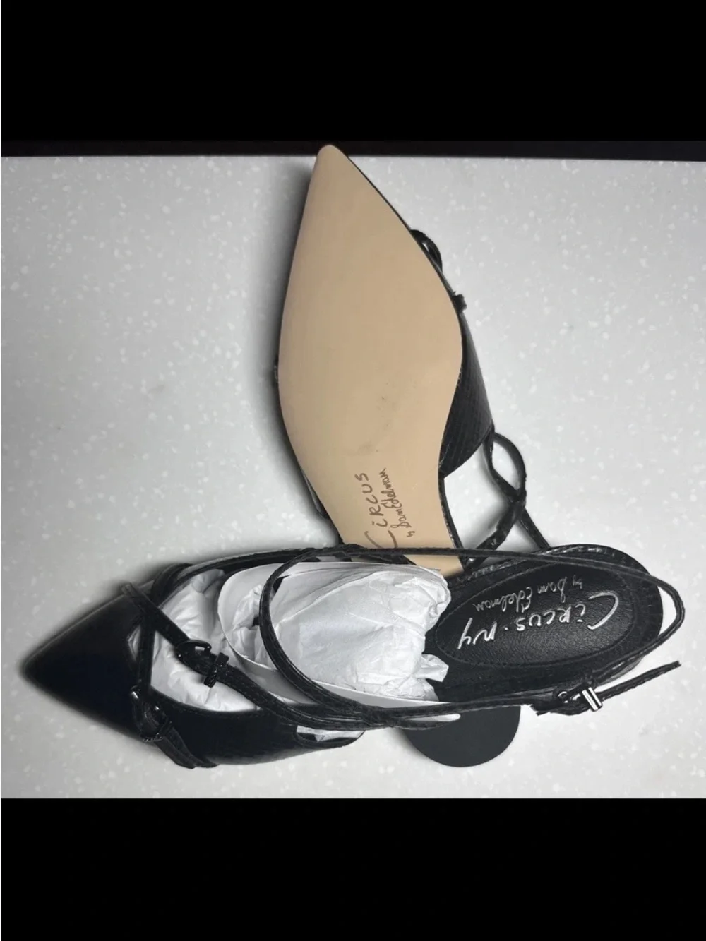 Sam Edelman sleek pointed